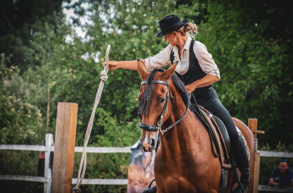 Working Equitation Slovenská Republika